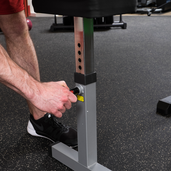 Biceps & Triceps Machine - Body Solid (GCBT-STK)