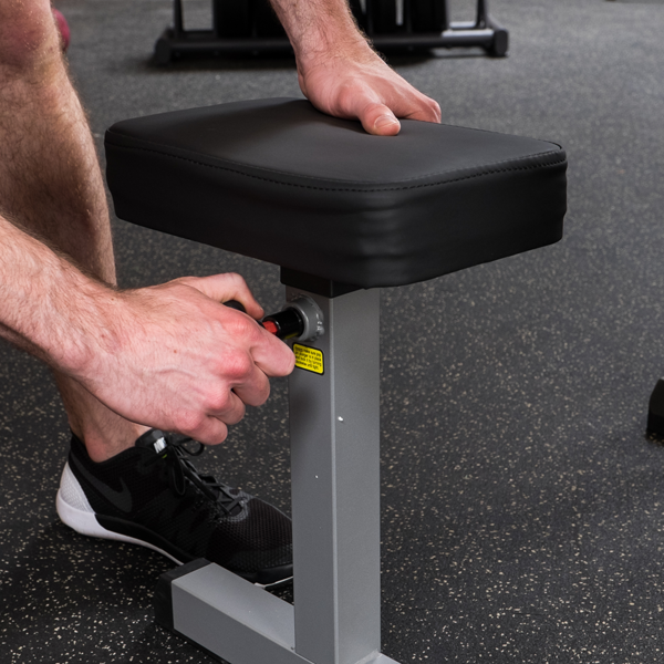 Biceps & Triceps Machine - Body Solid (GCBT-STK)