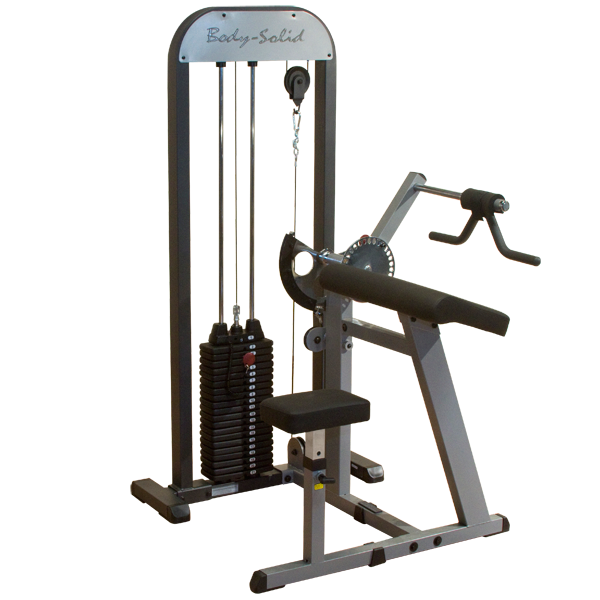 Biceps & Triceps Machine - Body Solid (GCBT-STK)