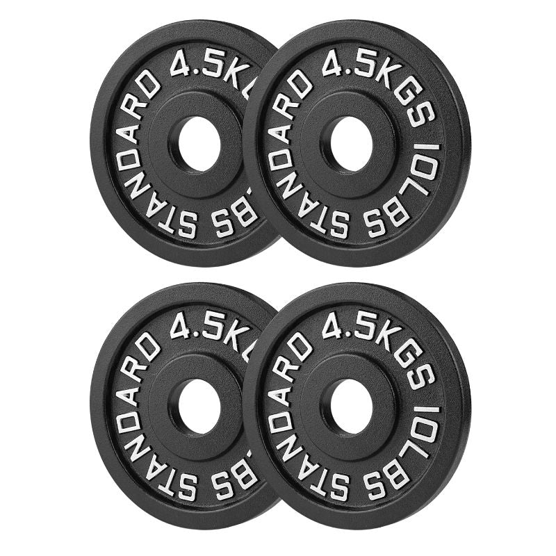 2-PAIRS (Four) 10 Lb Cast Iron Plates