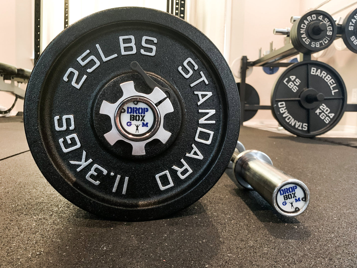 Premium PAIR of 20.5" Loadable Dumbbell